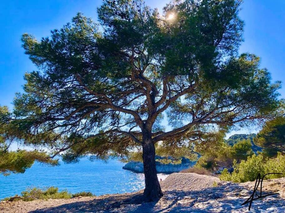 Charmant Studio Au Coeur De Cassis Exteriör bild
